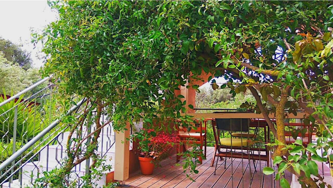 Kefalonia Apartments - Marias Studios - 2 Bedroom Apartment In Orchard, Spartia Spartia (Kefalonia) Exterior foto